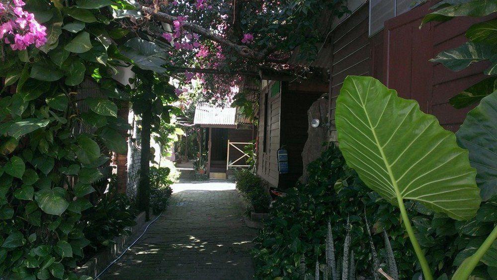 Ombak Inn Chalet Kampung Teluk Nipah Esterno foto